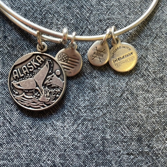 Alex and Ani silver Alaska charm stacker. - Picture 2 of 3